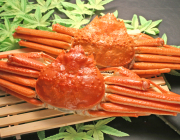 ���磻����500g��2ɤ