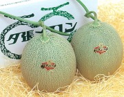 ���ʲ��� ͼĥ������ͥ�ʡ�1.6kg��2��