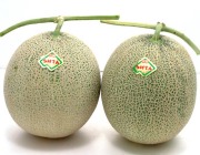 ���ʲ��� �餤�Ǥ������ͥ�ʡ�1.6����2��