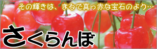 �ؤ������ܡ١��ޤ�����ФΤ褦�˸��굱���֤��̼�