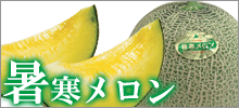 �ؽ봨�����١������Ťߤ��ֲ��ʸ�̣�����������������